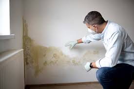 Best Comprehensive Air Testing for Mold Contaminants in Matteson, IL